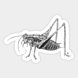 Bush Cricket (Black) Sticker